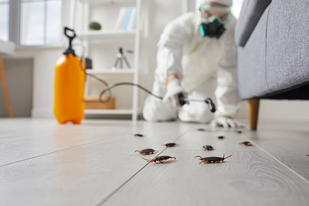 Commercial Kitchen Cockroach Control in Thompsonville